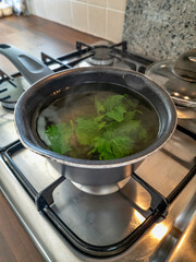 Freshly made hot peppermint tea in a pot