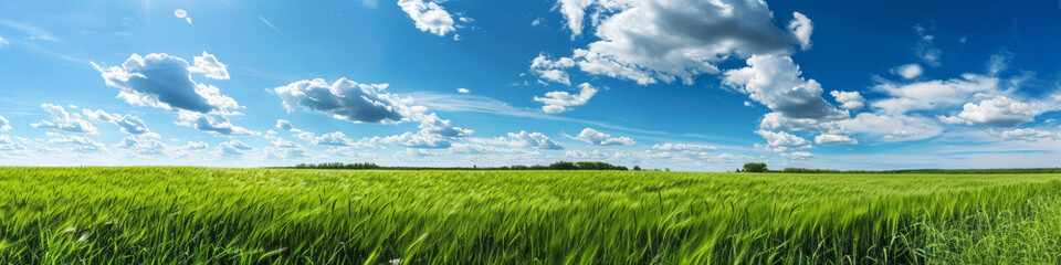 Obraz premium Green meadows with blue sky and clouds background.