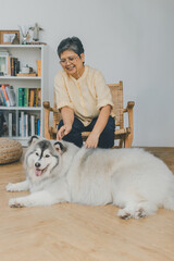 Senior Asian woman elder playing with dog in Livingroom at home. People hugs or Playing pet dog with happy and smiling at home. Lovely pet