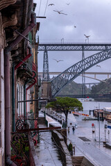 bridge over the river