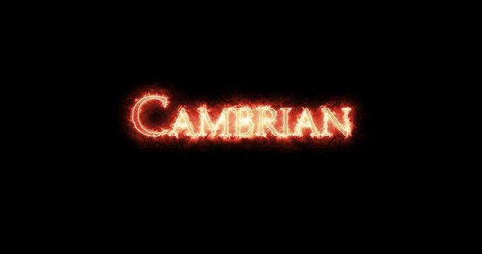 Cambrian, first geological period of the Paleozoic Era, written with fire. Loop