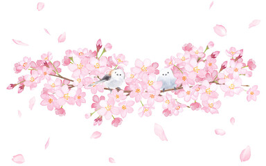 桜とエナガ２羽の装飾フレーム。水彩イラスト。 - obrazy, fototapety, plakaty