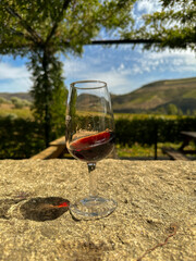 wino w kieliszku stojącym na kamiennym stole na tle winnicy