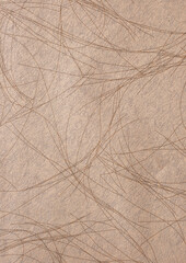 Abstract beige background or backdrop with decorative thin lines.