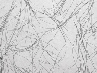Abstract white background or backdrop with scribbled black lines.