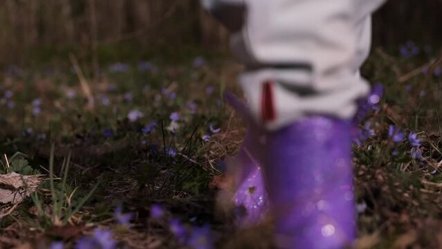 Unrecognizable little girl in violet boots and blue overall walking in spring blooming forest