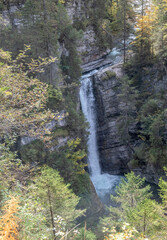 View of a forest and waterfall in Austria