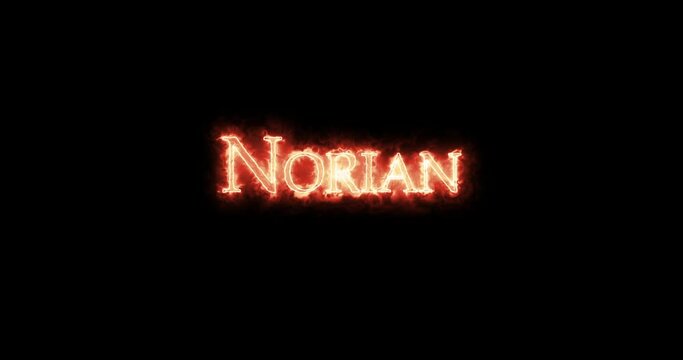 Norian, geologic period, written with fire. Loop