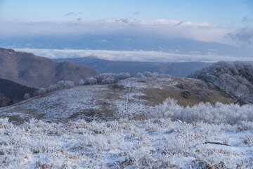 美しい霧氷と雪景色　霧ヶ峰