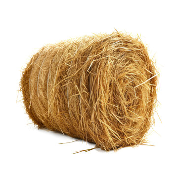 A cylinder of hay, cut out - stock png.