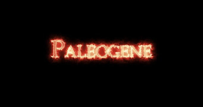 Paleogene, geologic period, written with fire. Loop