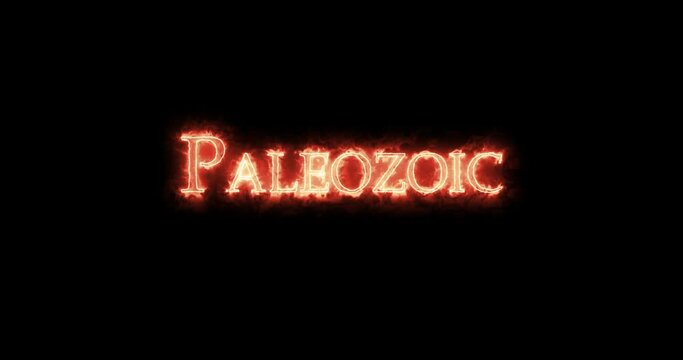 Paleozoic written with fire. Loop