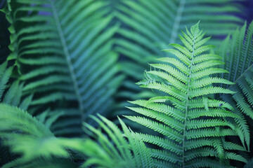 Plants and flowers macro. Detail of petals and leaves at sunset. Natural nature background.