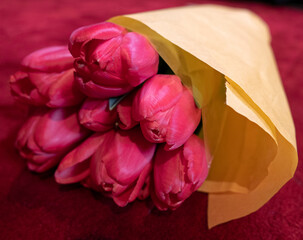 beautiful bouquet of vivid tulips