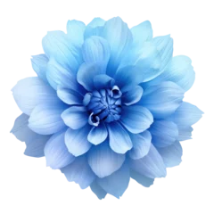 Foto op Plexiglas Blue flower transparent background © Jo