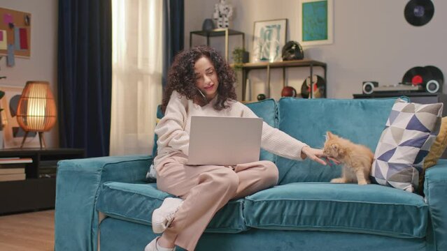 Busy woman communicating with coworkers on smartphone in cozy room. Young female using laptop while playing with her funny red cat. Cute domestic animal biting her owner and jumping on couch.