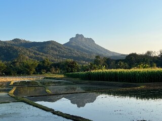 Reflection of mountain and hills in water filled rice field, sunset colours, Muang Pan district, Lampang province, near Chiangmai city, North Thailand