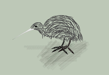 Kiwi Bird Sketch
