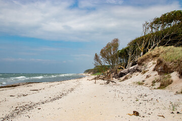 Darsser Weststrand, laut ARTE einer der sch&ouml;nsten Str&auml;nde der Welt.