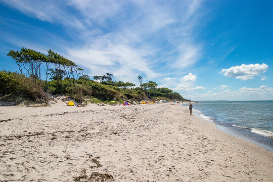 Darsser Weststrand, laut ARTE einer der sch&ouml;nsten Str&auml;nde der Welt.