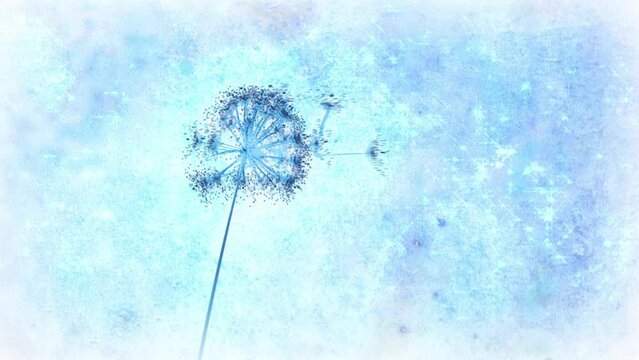 Dandelion animation with seeds blowing away on the wind. Representing wishing, birthday wishes, luck etc.