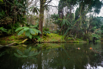 Terra Nostra park in the island of São Miguel, Azores