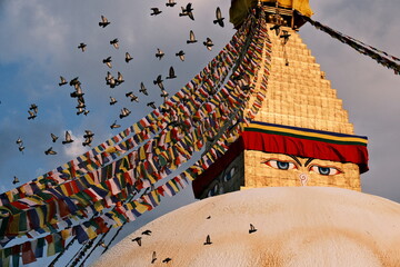 Evening Serenity: Boudhanath Stupa, Kathmandu (with Pigeons) - obrazy, fototapety, plakaty