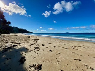 quiet sandy beachfront along calm sea