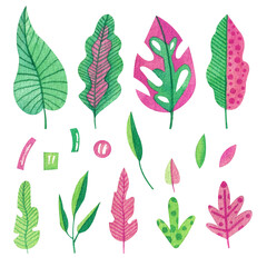 Set with pink and green tropical leaves. Watercolor illustration. Plants. Nature. Bright. Handmade work. Decorative. Botanical. Art. Design. Stylized. Exotic.