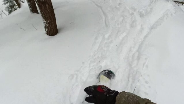 POV a snowboarder rides through a wild forest in a coniferous forest between trees. The camera looks down at the snowboard and the snow in front of the rider. High quality 4k footage