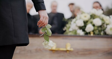 Death, funeral and hand of man with flower at coffin, family at service in graveyard for respect....