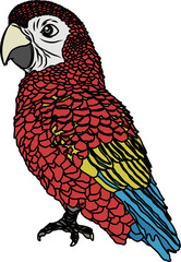 オウム（parrot）(PNG)