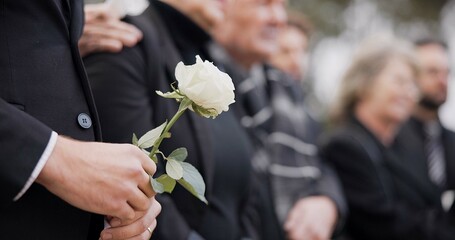 Hands, rose and a person at a funeral in a cemetery in grief while mourning loss at a memorial...