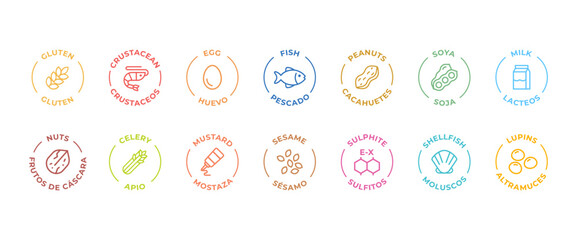 Isolated Vector Logo Set Badge Ingredient Warning Label. Colorful Allergens icons. Food Intolerance. The 14 allergens required to declare written in Spanish and English - obrazy, fototapety, plakaty