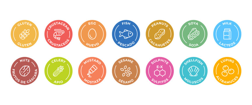 Isolated Vector Logo Set Badge Ingredient Warning Label. Colorful Allergens icons. Food Intolerance. The 14 allergens required to declare written in Spanish and English