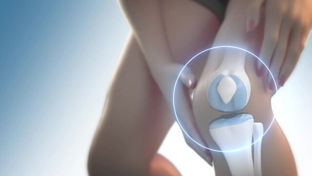 Illustration of orthopedic and joint and bone treatment Increase collagen in knee joints 3d Rendering
