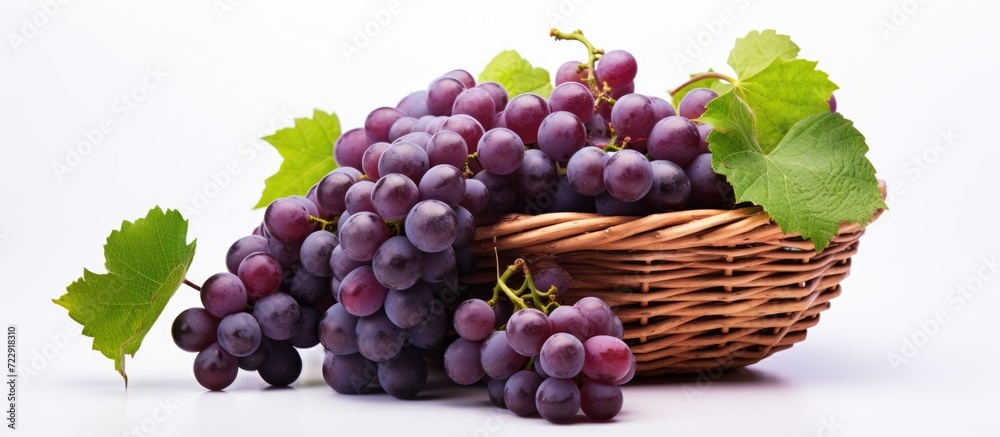 Poster grapes with leaves in wicker basket isolated on white background. creative banner. copyspace image