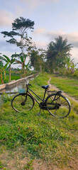 old bicycle on the field and near water canals