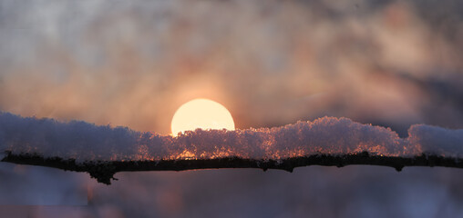 Snow melts on a tree branch opposite the sun's disk. Seasonal background for the winter thaw and...