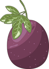 Ripe Passion Fruit Nature Illustration Graphic Element Art Card