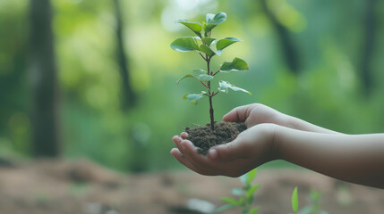 Nature's Embrace: Child's Hand Encircling a Sapling