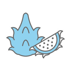 Dragon fruit vector on trendy design