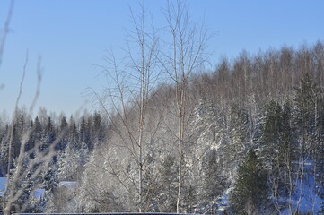 Nature is the material world of the universe, in fact, the main object of the study of natural...