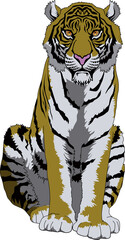 虎（Tiger）