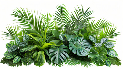 Green leaves of tropical plants