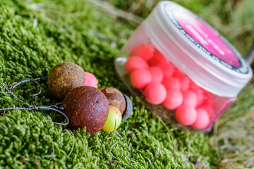 Carpfishing session at the Lake.Carp fishing hooks.Carp fishing rig.Round boilies used as bait for carp fishing.