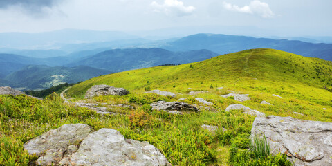 boulders on the green grassy alpine meadow of carpathian mountains. landscape of ukrainian...