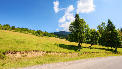 road through scenic carpathian countryside. serene landscape of ukraine highlands