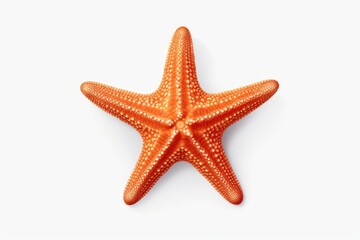 Fototapeta na wymiar A vibrant orange starfish resting on a clean white surface. Perfect for beach-themed designs and marine life illustrations