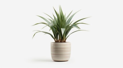 A potted plant placed on top of a white table. Suitable for home decor and interior design projects